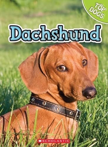 Stock image for Dachshund for sale by Better World Books: West