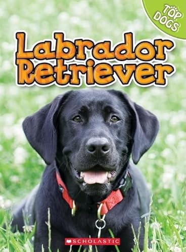 9780531232446: Labrador Retriever (Top Dogs)