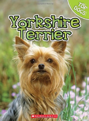 9780531232477: Yorkshire Terrier (Top Dogs)