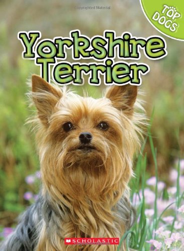 Stock image for Yorkshire Terrier for sale by Better World Books: West