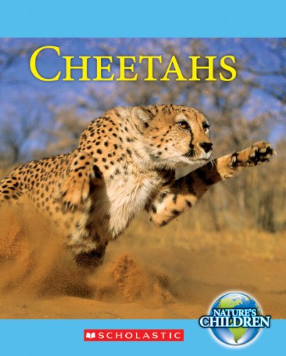 Imagen de archivo de Cheetahs a la venta por Better World Books