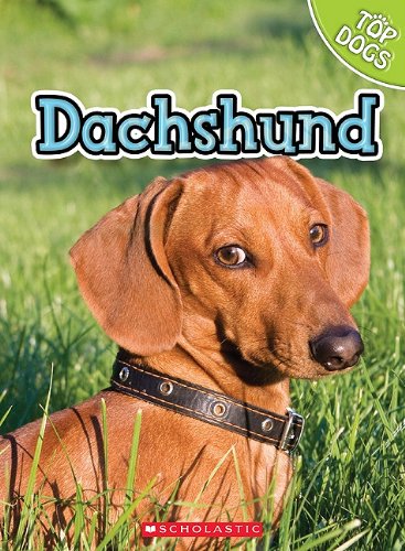 Dachshund (Top Dogs) (9780531249321) by George, Charles; George, Linda