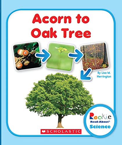 Stock image for Acorn to Oak Tree (Rookie Read-About Science: Life Cycles) for sale by Goodwill