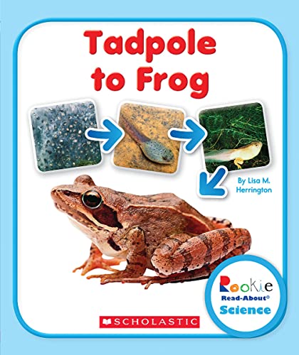 Beispielbild fr Tadpole to Frog zum Verkauf von Better World Books