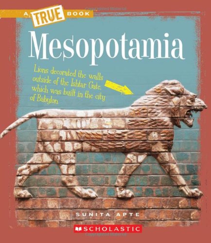 Stock image for Mesopotamia for sale by Better World Books