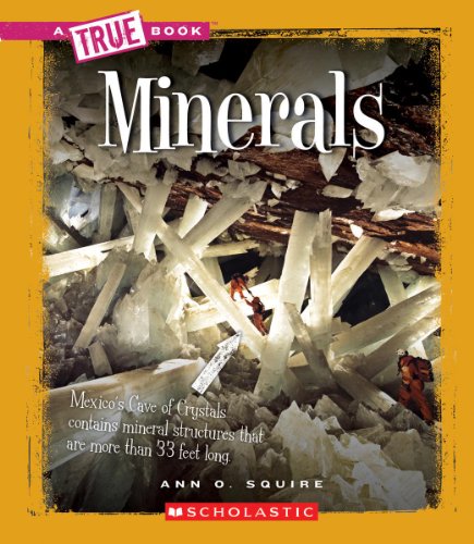 9780531261446: Minerals (True Books)