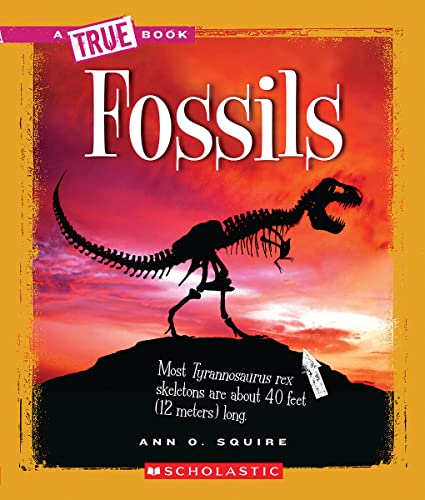 Imagen de archivo de Fossils (A True Book: Earth Science) (A True Book (Relaunch)) a la venta por Reliant Bookstore