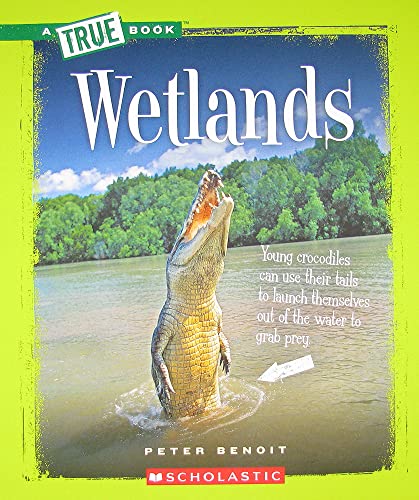 Stock image for Wetlands (True Books: Ecosystems (Paperback)) for sale by Once Upon A Time Books