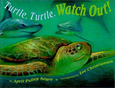 9780531302859: Turtle, Turtle, Watch Out!