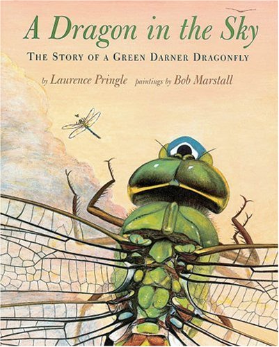 A Dragon in the Sky: The Story of a Green Darner Dragonfly