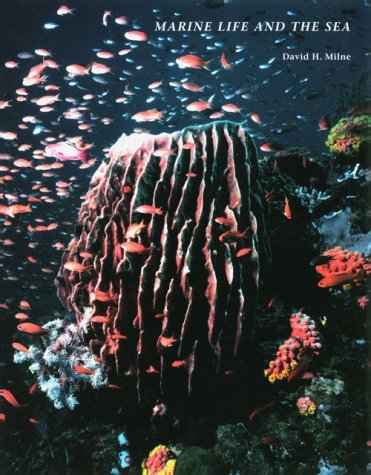 Stock image for Marine Life and the Sea for sale by Better World Books