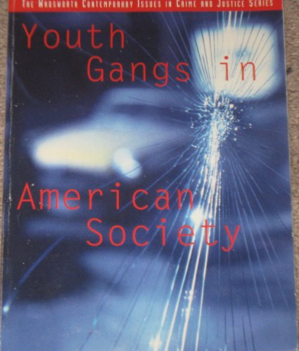 Stock image for Youth Gangs in American Society for sale by Better World Books