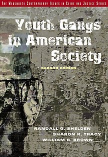 9780534527457: Youth Gangs in American Society