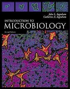 Stock image for Introduction To Microbiology ; 9780534552244 ; 0534552242 for sale by APlus Textbooks
