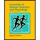 9780536613141: Essentials of Human Anatomy and Physiology