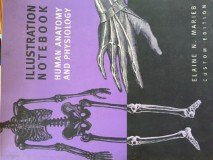 Stock image for Illustration Notebook (Human Anatomy and Physiology) for sale by Better World Books