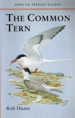 9780540012664: The Common Tern