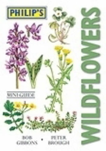 Philip's Mini Guide to Wild Flowers (9780540092857) by Bob Gibbons