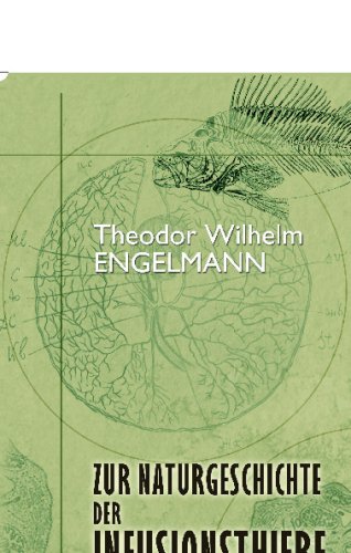 Imagen de archivo de Zur Naturgeschichte der Infusionsthiere (German Edition) a la venta por Revaluation Books