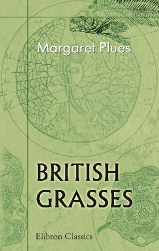 Imagen de archivo de British Grasses a la venta por Revaluation Books