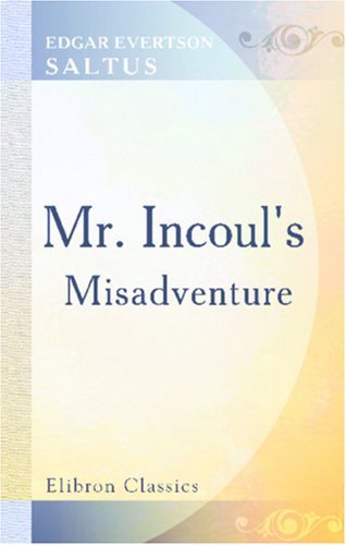 Imagen de archivo de Mr. Incoul\'s Misadventure: A Novel a la venta por Revaluation Books