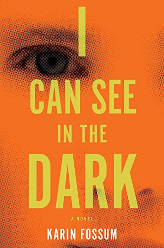 Stock image for I Can See in the Dark for sale by Your Online Bookstore