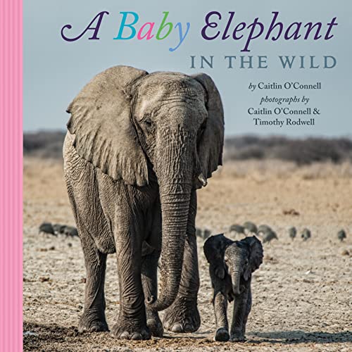 Stock image for A Baby Elephant in the Wild for sale by ThriftBooks-Atlanta