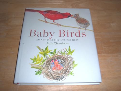 Beispielbild fr Baby Birds : An Artist Looks into the Nest zum Verkauf von Better World Books