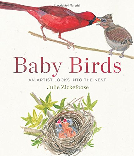 9780544206700: Baby Birds: An Artist Looks into the Nest
