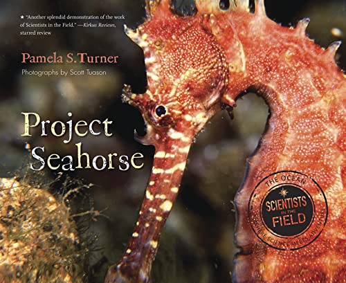 Beispielbild fr Project Seahorse (Scientists in the Field) zum Verkauf von HPB Inc.