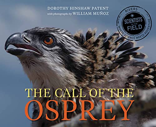 Imagen de archivo de Call of the Osprey a la venta por Better World Books: West
