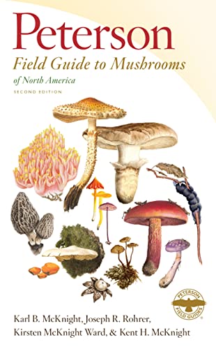 Stock image for Peterson Field Guide To Mushrooms Of North America, Second Edition (Peterson Field Guides) for sale by GF Books, Inc.