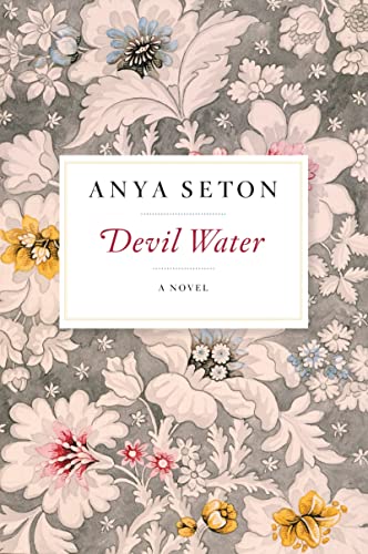 Stock image for Devil Water: A Novel for sale by SecondSale