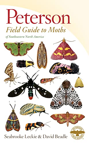 Beispielbild fr Peterson Field Guide to Moths of Southeastern North America zum Verkauf von Blackwell's