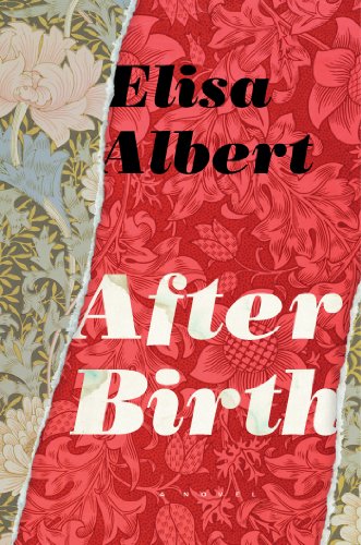 Beispielbild fr After Birth zum Verkauf von Better World Books