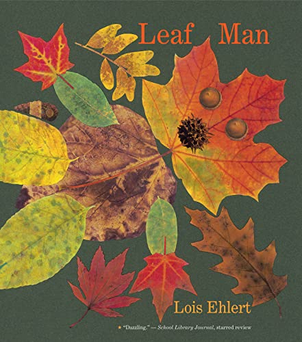 9780544339163: Leaf Man