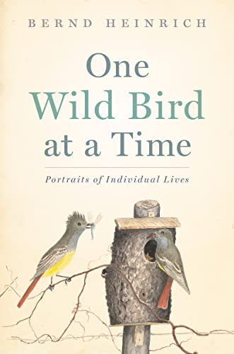 Imagen de archivo de One Wild Bird At A Time: Portraits of Individual Lives a la venta por Books for Life