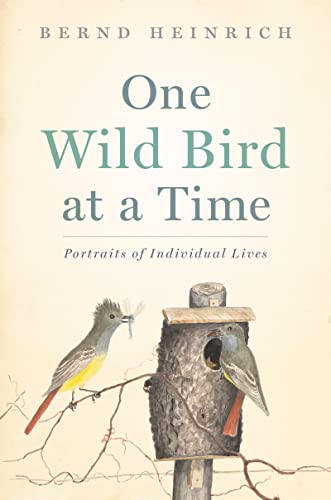 Stock image for One Wild Bird At A Time: Portraits of Individual Lives for sale by Books for Life