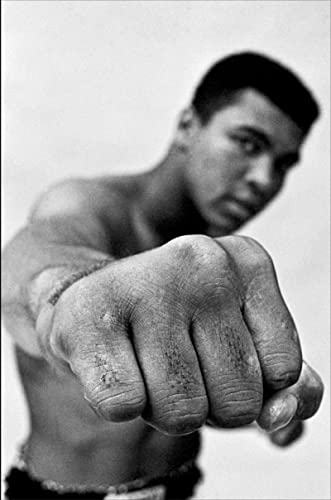 Stock image for Ali: A Life for sale by Goodwill of Colorado