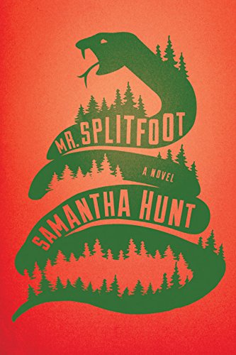 Stock image for Mr. Splitfoot for sale by ZBK Books