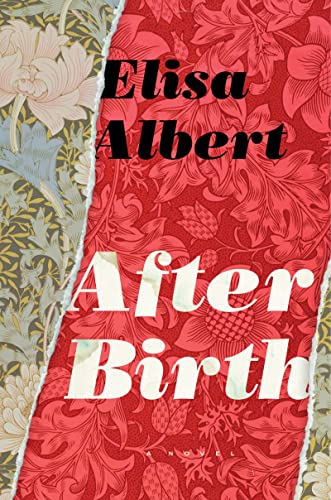 Stock image for After Birth for sale by Books-FYI, Inc.