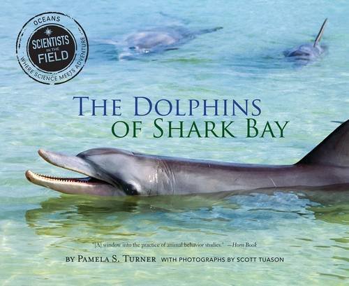 Stock image for The Dolphins of Shark Bay (Scientists in the Field) for sale by Your Online Bookstore