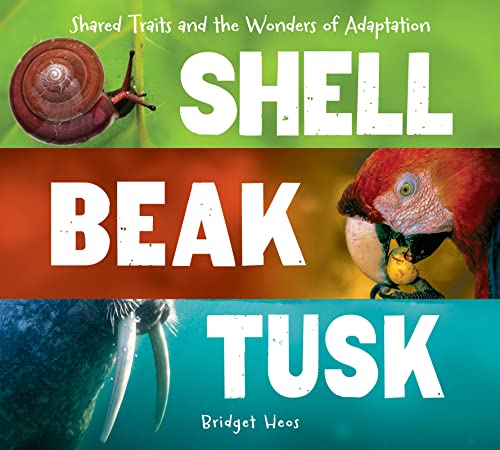 Imagen de archivo de Shell, Beak, Tusk : Shared Traits and the Wonders of Adaptation a la venta por Better World Books: West