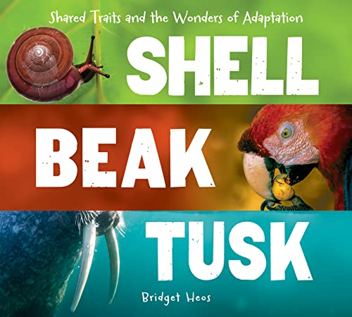 Stock image for Shell, Beak, Tusk : Shared Traits and the Wonders of Adaptation for sale by Better World Books: West