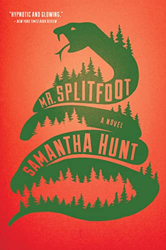 Stock image for Mr. Splitfoot for sale by Better World Books: West
