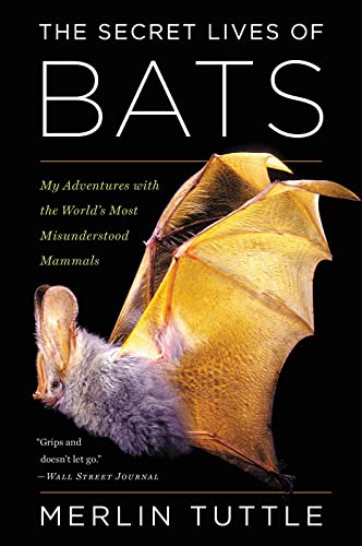 9780544815599: The Secret Lives of Bats: My Adventures with the World's Most Misunderstood Mammals