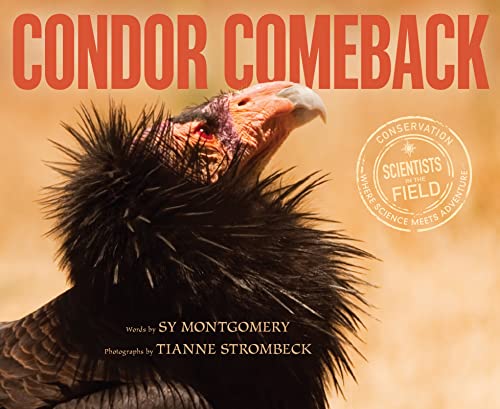 Stock image for Condor Comeback (Scientists in the Field Series) for sale by SecondSale