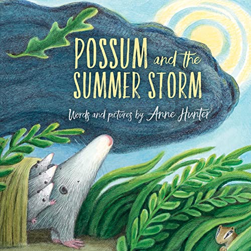 Beispielbild fr Possum and the Summer Storm zum Verkauf von Wonder Book