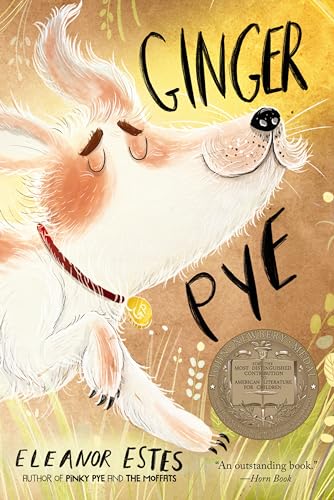 Beispielbild fr Ginger Pye zum Verkauf von Wonder Book