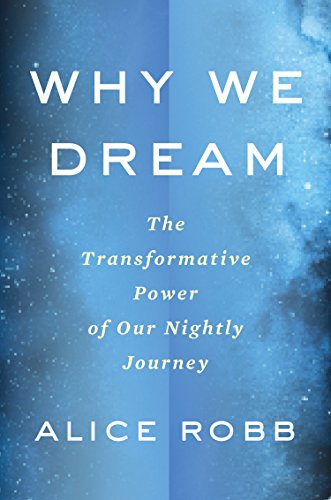 Imagen de archivo de Why We Dream: The Transformative Power of Our Nightly Journey a la venta por SecondSale
